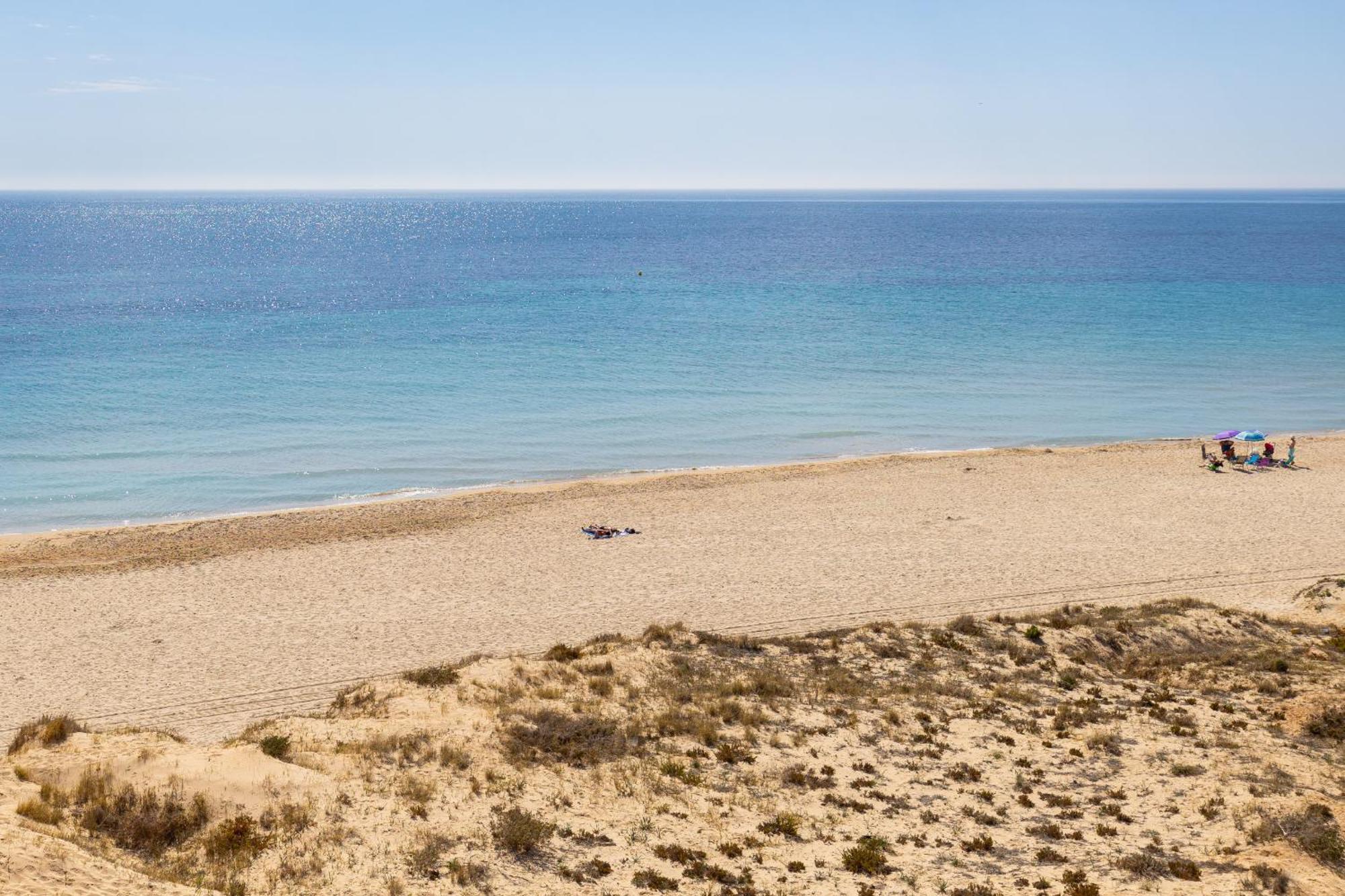 Paradise Palms By Fidalsa Dehesa de Campoamor  Buitenkant foto